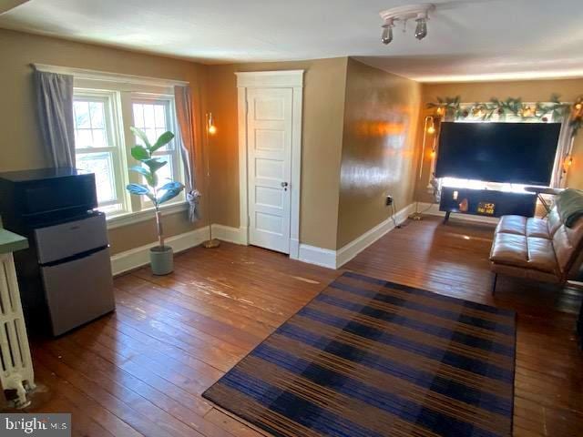 living room featuring wood-type flooring