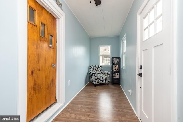 corridor with dark hardwood / wood-style floors