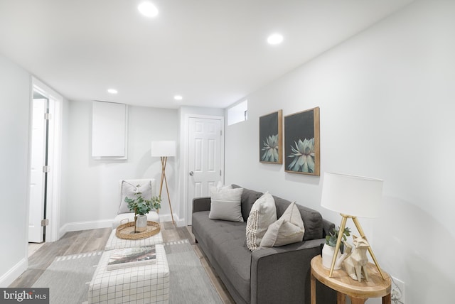 living room with light wood-type flooring