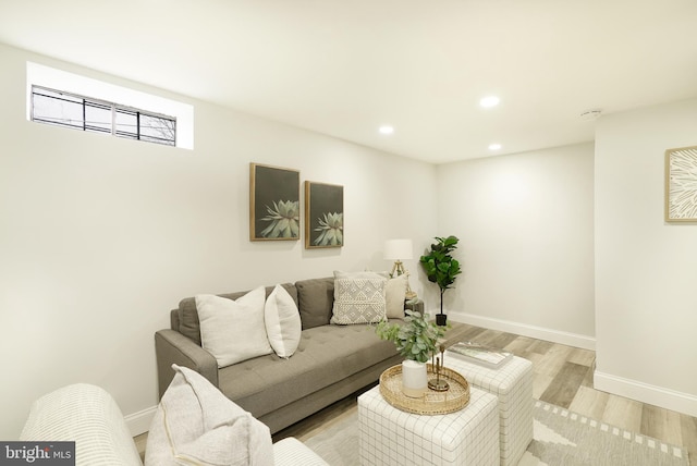 living room featuring light hardwood / wood-style flooring