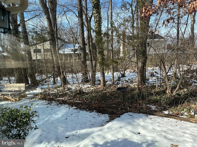 view of snowy yard