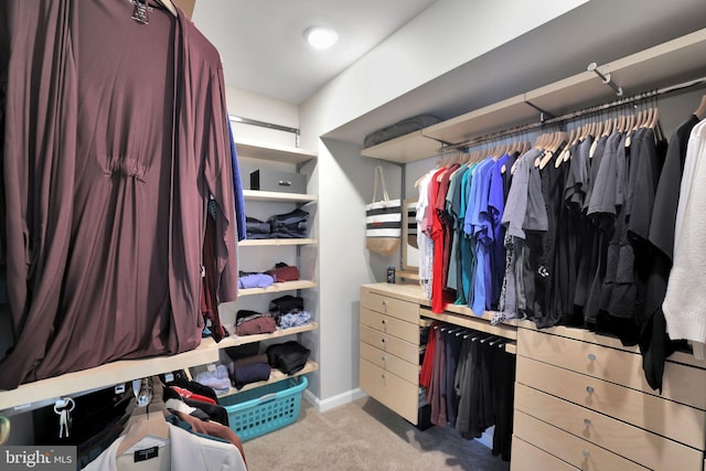 walk in closet with light colored carpet