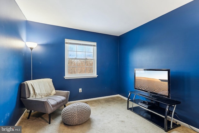 sitting room with carpet flooring