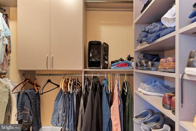 view of walk in closet