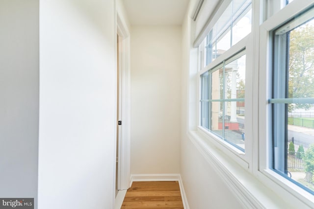 corridor featuring hardwood / wood-style flooring and plenty of natural light