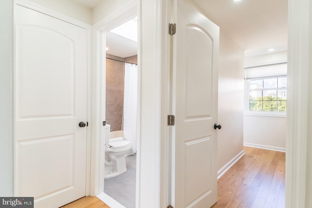 hallway featuring light hardwood / wood-style flooring