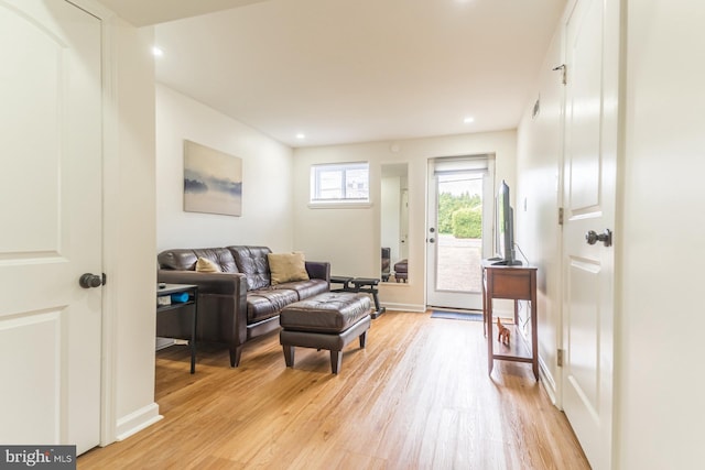 living room featuring light wood-type flooring