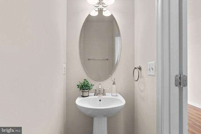 bathroom featuring hardwood / wood-style floors