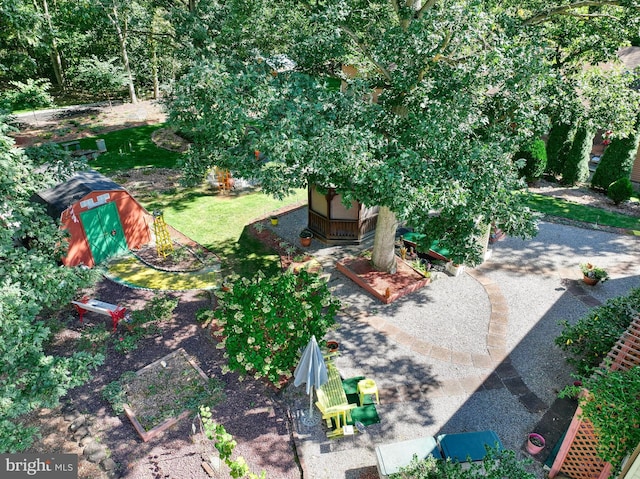 view of yard with a shed