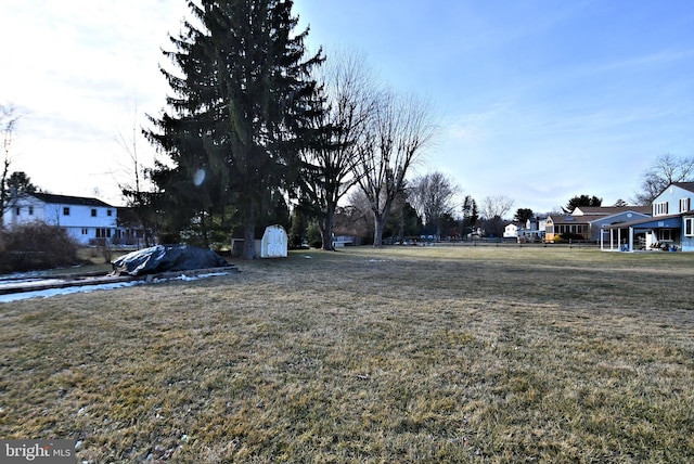 view of yard with a storage unit