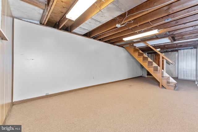 basement featuring carpet flooring