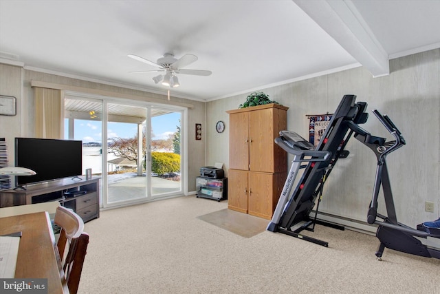 exercise area with ornamental molding, carpet, and ceiling fan