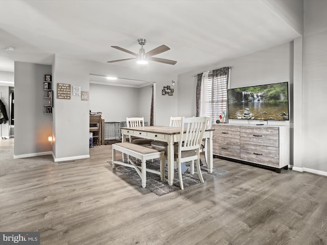 dining room with ceiling fan and hardwood / wood-style floors