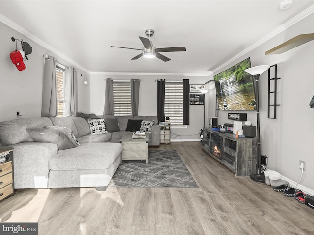 living room with crown molding, hardwood / wood-style floors, and ceiling fan