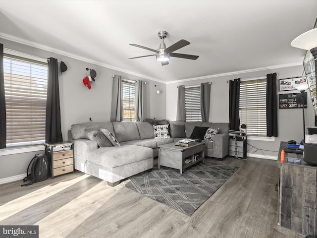 living room with ceiling fan, ornamental molding, and wood-type flooring