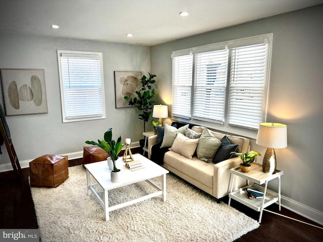 living room with dark hardwood / wood-style floors