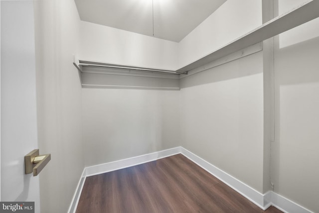 spacious closet featuring dark wood-type flooring