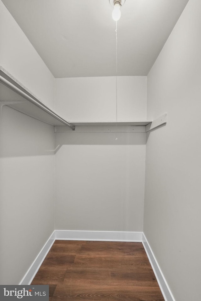 spacious closet with dark wood-type flooring