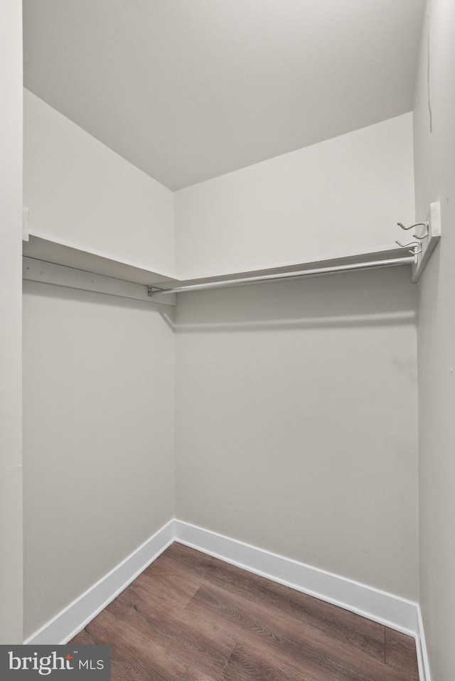 walk in closet with dark wood-type flooring