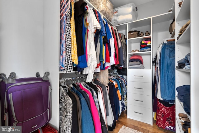 spacious closet featuring hardwood / wood-style flooring