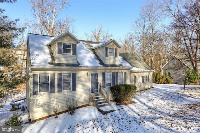 view of cape cod-style house