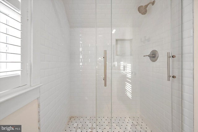 bathroom with a shower with shower door