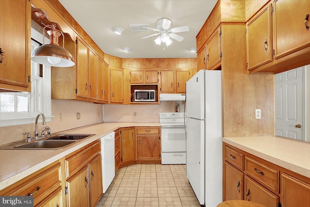 kitchen featuring sink, white appliances, and ceiling fan