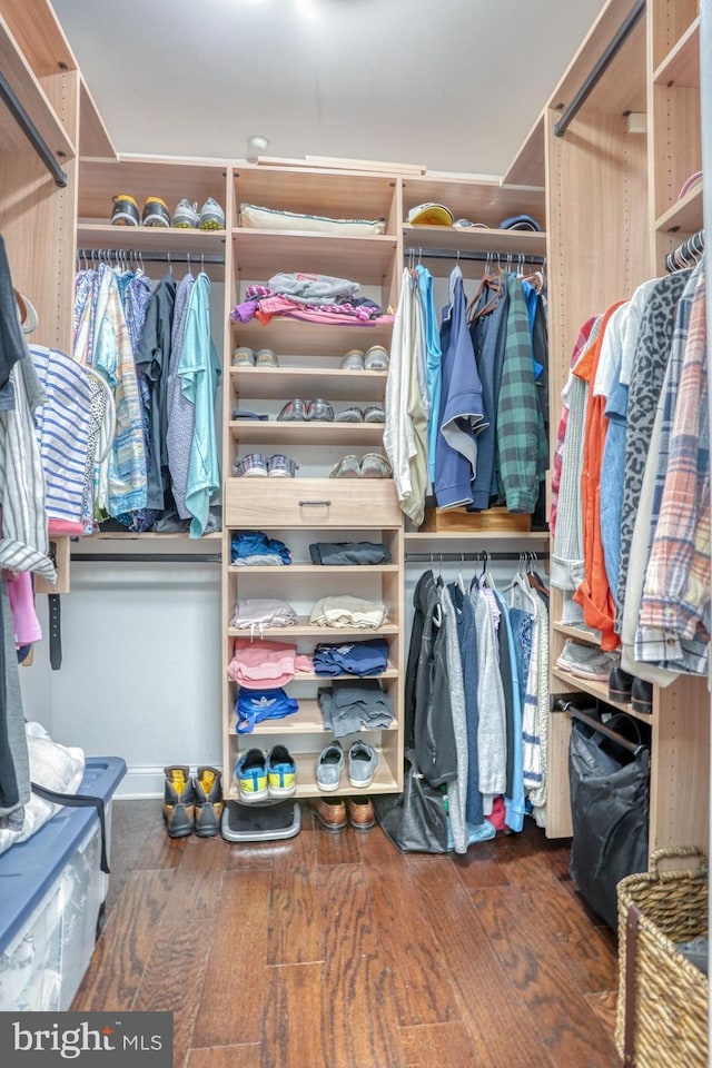 walk in closet with dark hardwood / wood-style flooring