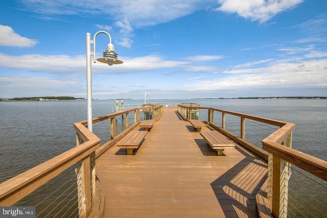 dock area with a water view