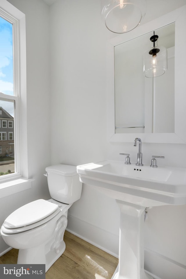 bathroom with sink, hardwood / wood-style floors, and toilet