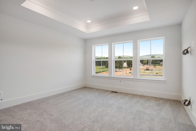 carpeted empty room featuring a raised ceiling and ornamental molding