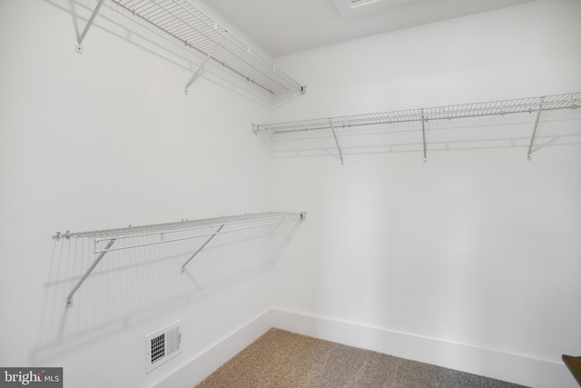 walk in closet featuring carpet flooring