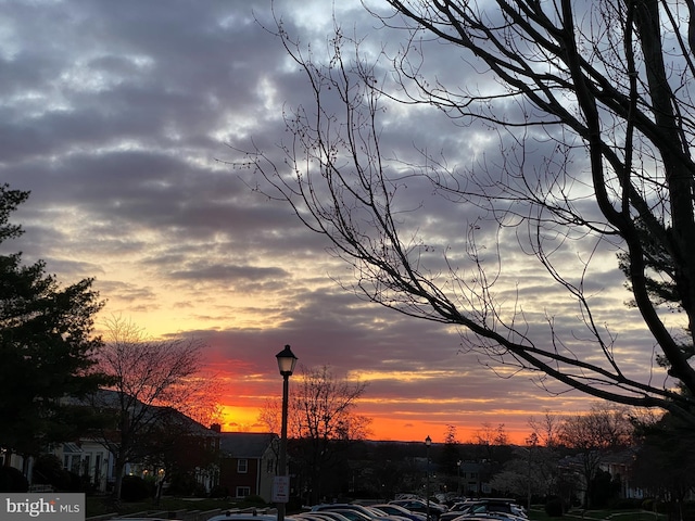 view of nature at dusk