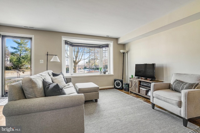 living room with hardwood / wood-style flooring