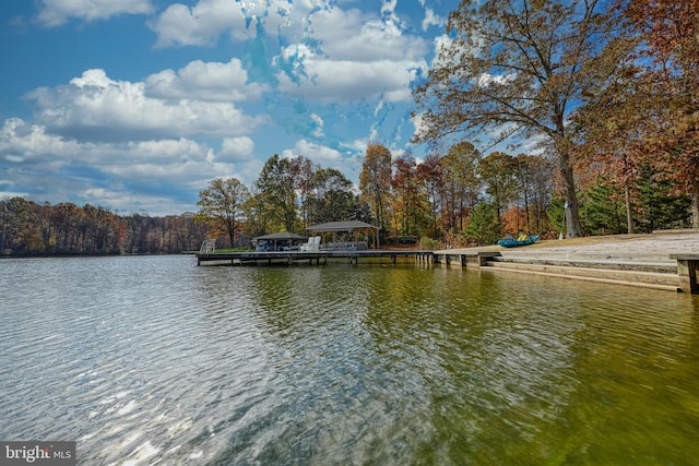 water view with a dock