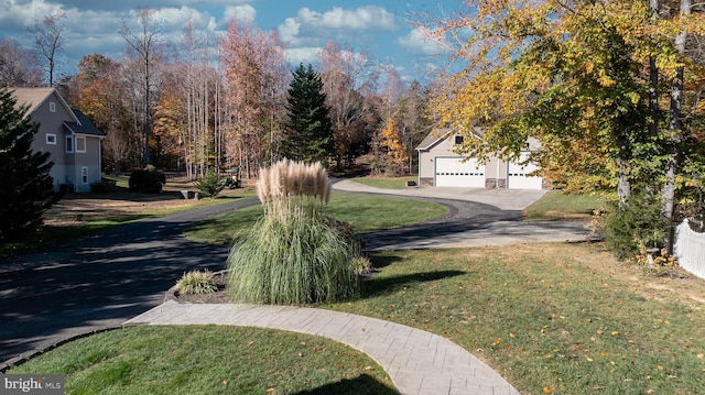 view of yard with a garage