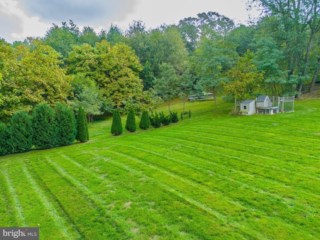 view of yard with a rural view