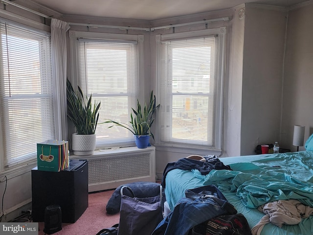 carpeted bedroom with radiator heating unit