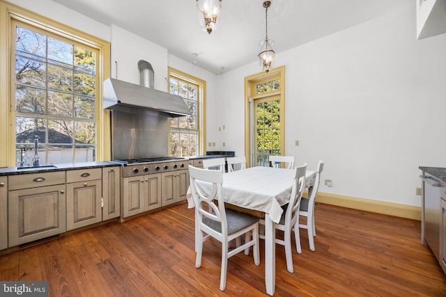 dining area featuring dark wood-type flooring, sink, a wood stove, and a wealth of natural light