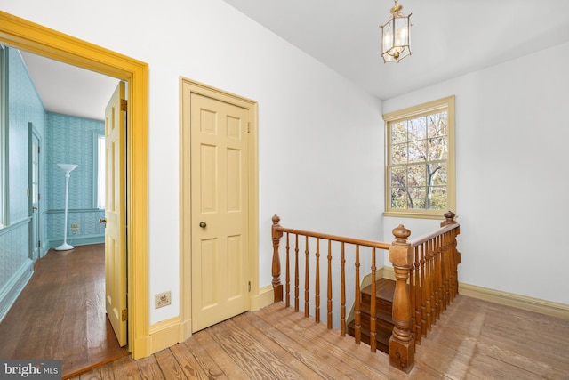 hall featuring hardwood / wood-style floors