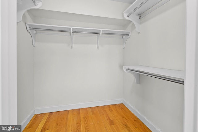 spacious closet featuring light wood finished floors