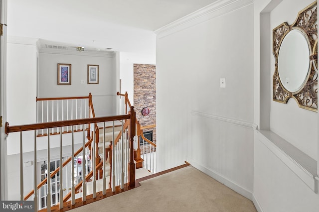 hallway featuring crown molding and carpet floors