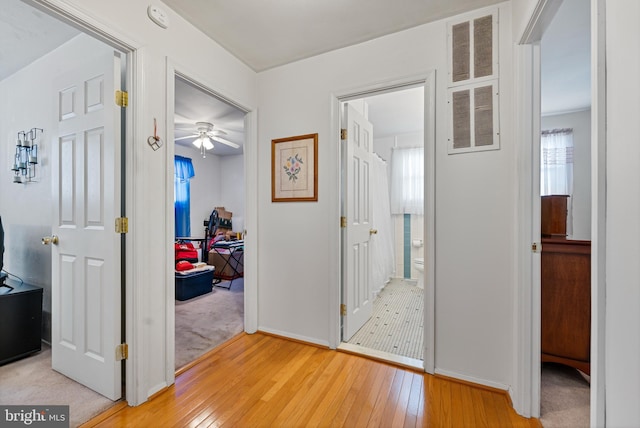 corridor featuring hardwood / wood-style floors