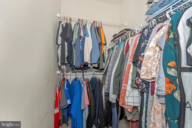 spacious closet with carpet floors