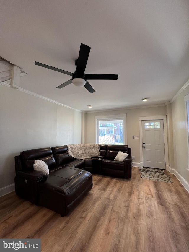 living room featuring ceiling fan, ornamental molding, and hardwood / wood-style floors