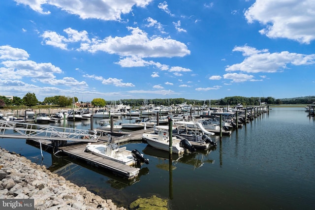 dock area featuring a water view