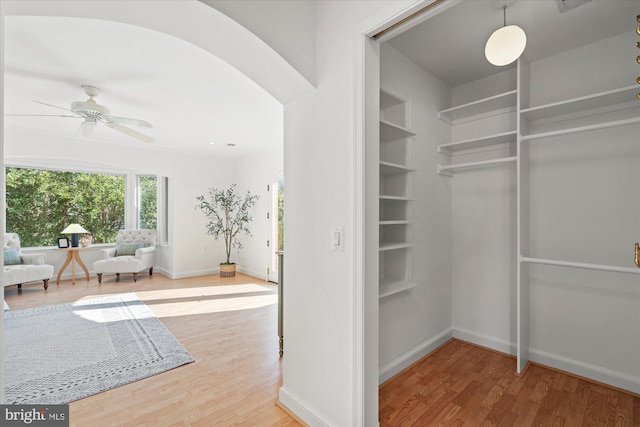 walk in closet with wood-type flooring and ceiling fan