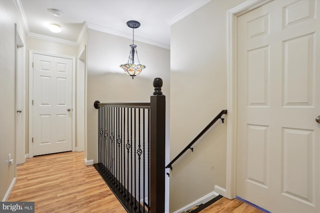 interior space featuring crown molding and wood-type flooring