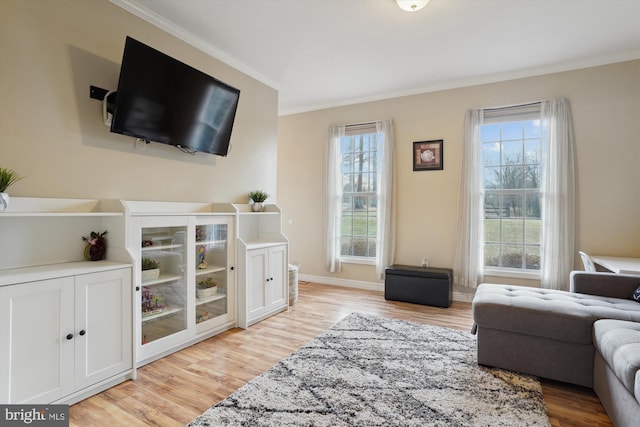 living room featuring ornamental molding and light hardwood / wood-style floors