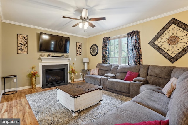 living room with hardwood / wood-style flooring, ornamental molding, and ceiling fan